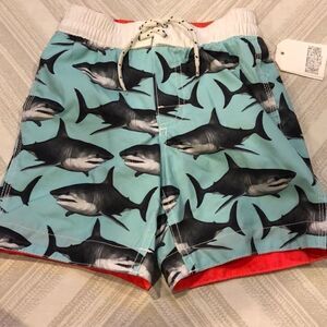 Gap Boys Blue with Sharks Bathing Suit